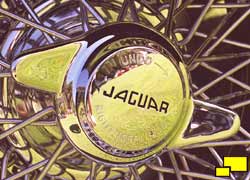 Jaguar E-Type Spinners