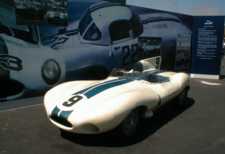 Jaguar D Type on display