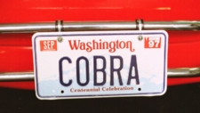 COBRA License plate