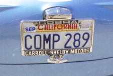 COBRA 289 License plate